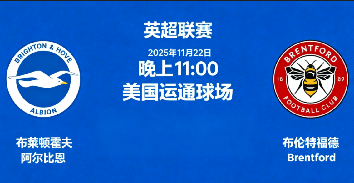 英超联赛 布莱顿VS布伦特福德